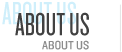 About Us Button